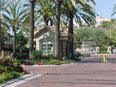 Newport Beach Rentals